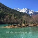 Avatar of Hina Tariq